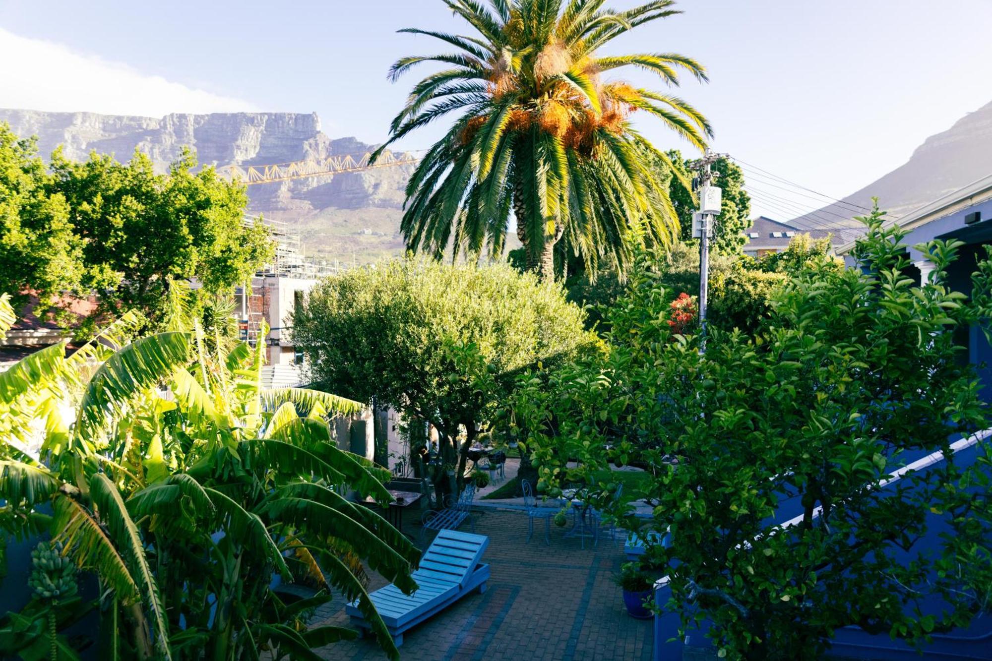 Viva 2* Cape Town