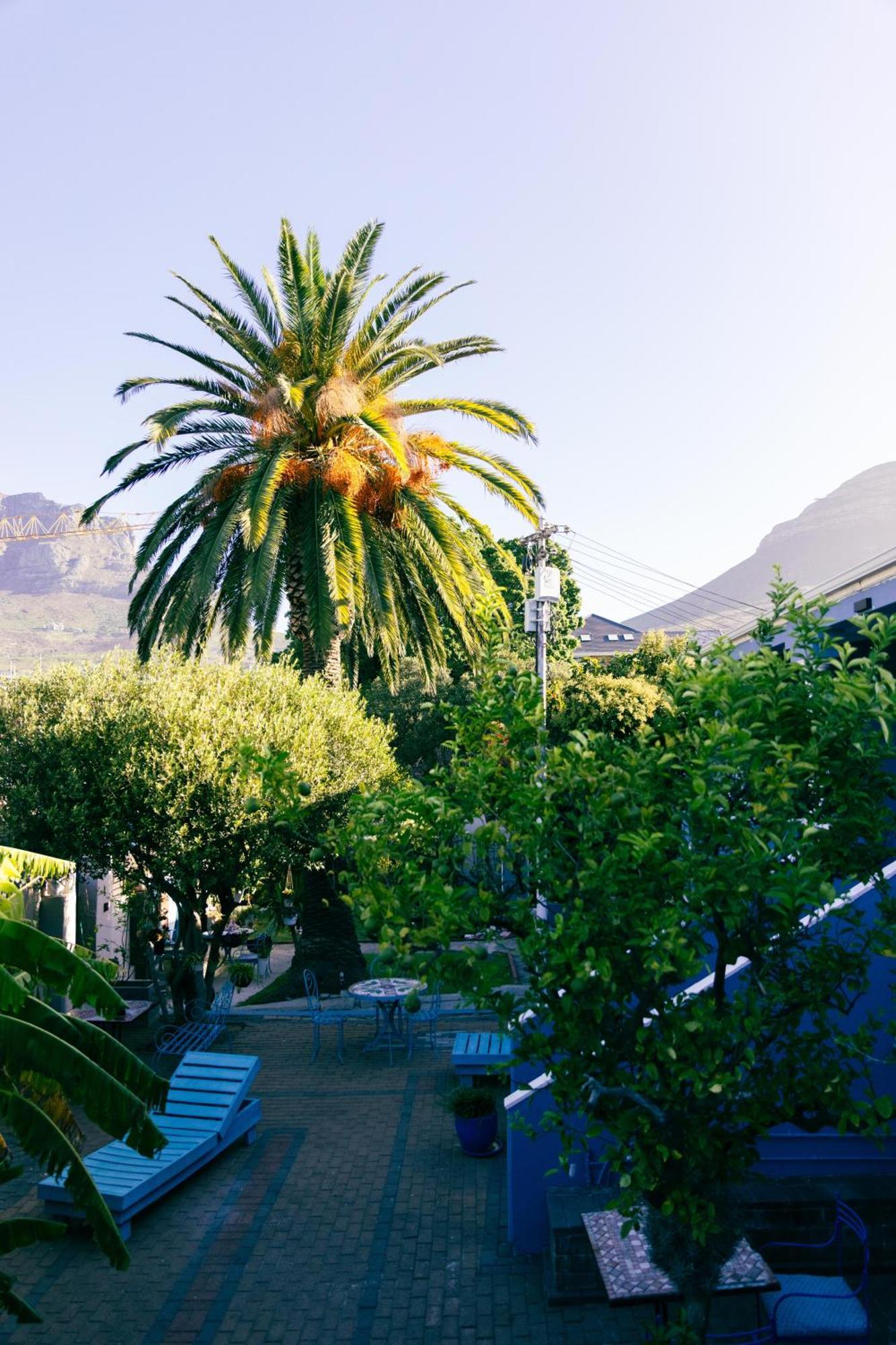 Viva Guest house Cape Town