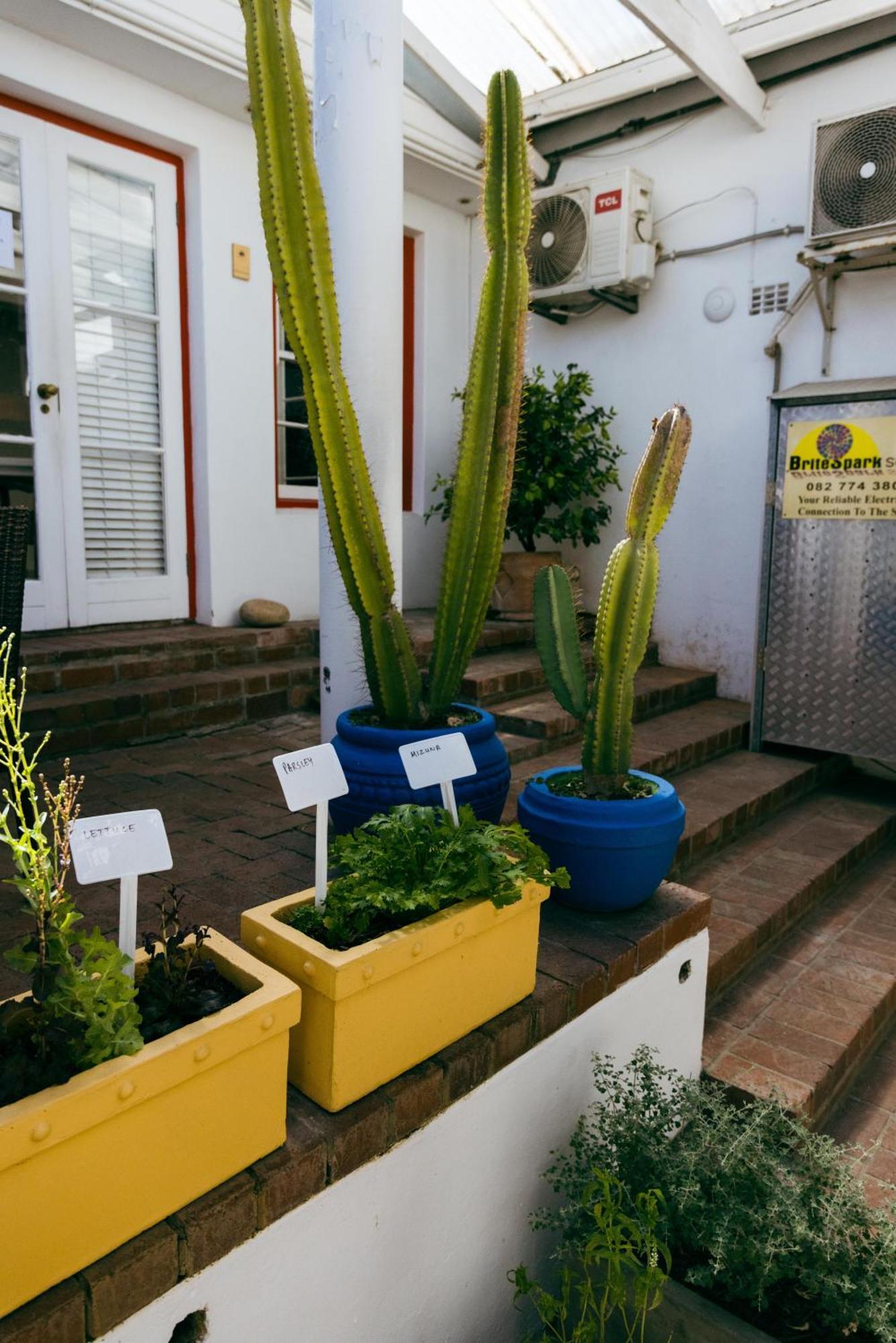 Viva Guest house